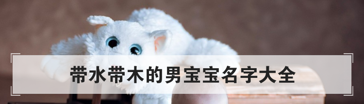 带水带木的男宝宝名字大全