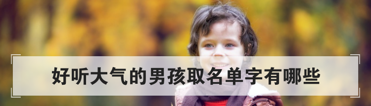 好听大气的男孩取名单字有哪些