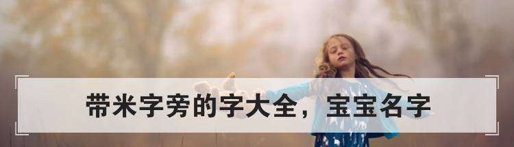 带米字旁的字大全,宝宝名字