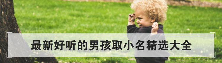 最新好听的男孩取小名精选大全