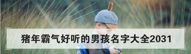 猪年霸气好听的男孩名字大全2031