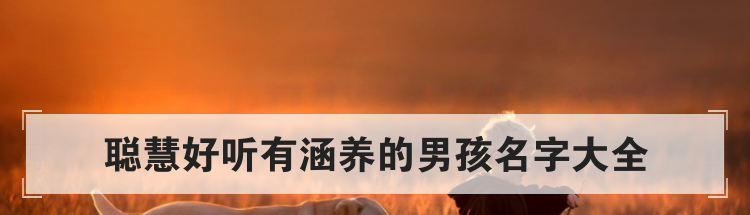 聪慧好听有涵养的男孩名字大全