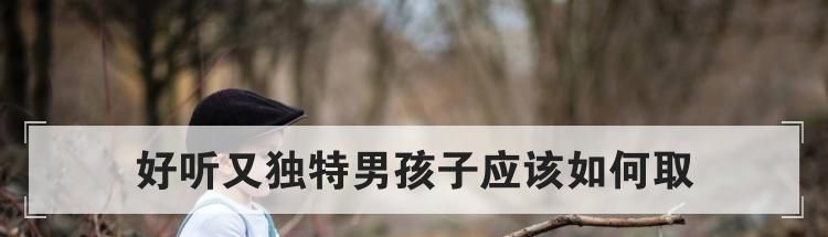 好听又独特男孩子应该如何取