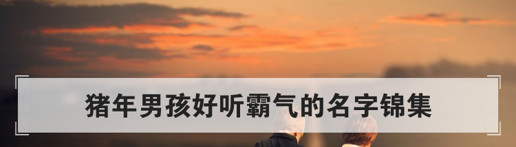 猪年男孩好听霸气的名字锦集