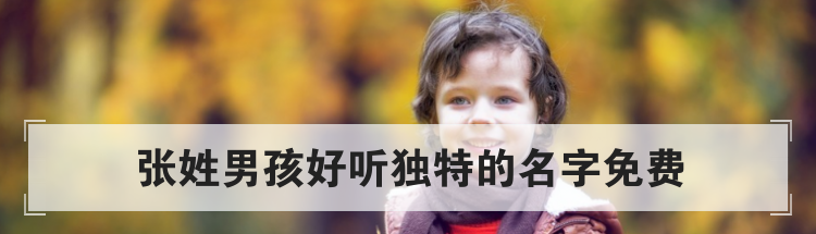 张姓男孩好听独特的名字免费