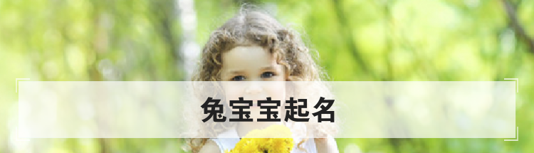 兔宝宝起名