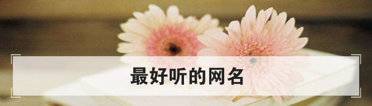 最好听的网名
