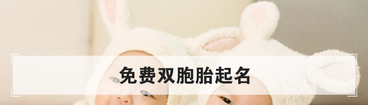 双胞胎怎么取名,双胞胎名字推荐