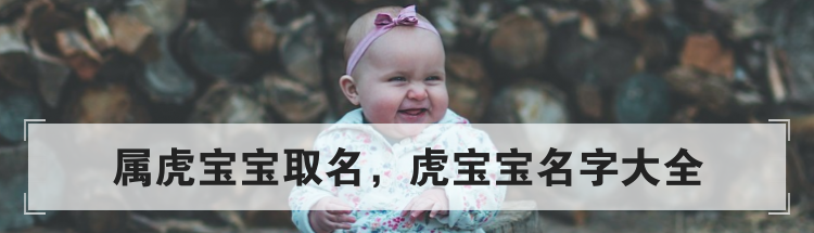属虎宝宝取名,虎宝宝名字大全