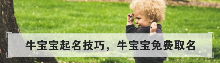 牛宝宝起名技巧,牛宝宝免费取名