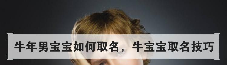牛年男宝宝如何取名,牛宝宝取名技巧