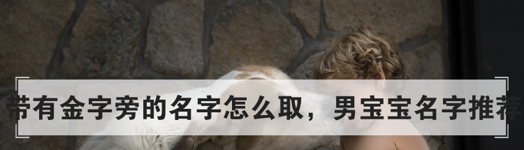 带有金字旁的名字怎么取,男宝宝名字推荐