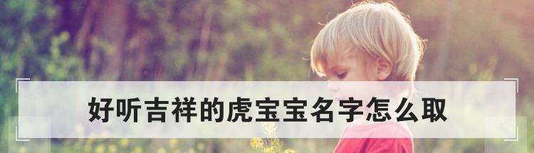 好听吉祥的虎宝宝名字怎么取
