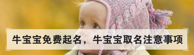牛宝宝免费起名,牛宝宝取名注意事项
