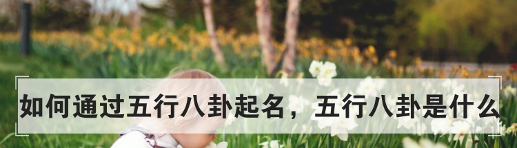 如何通过五行八卦起名，五行八卦是什么