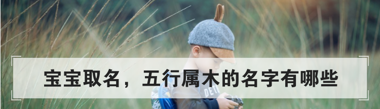 宝宝取名,五行属木的名字有哪些