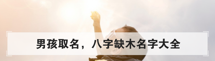 男孩取名,八字缺木名字大全