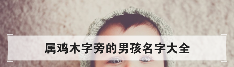属鸡木字旁的男孩名字大全