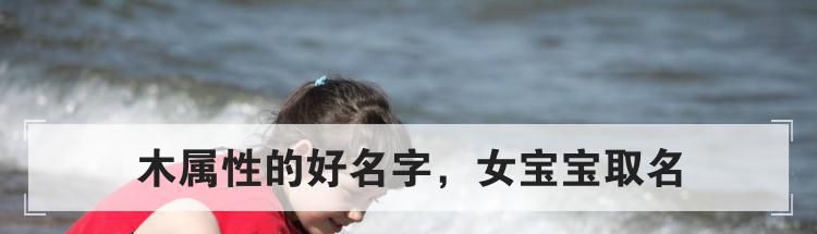 木属性的好名字,女宝宝取名