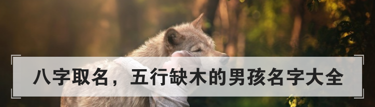 八字取名,五行缺木的男孩名字大全