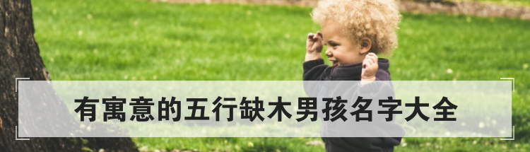 有寓意的五行缺木男孩名字大全