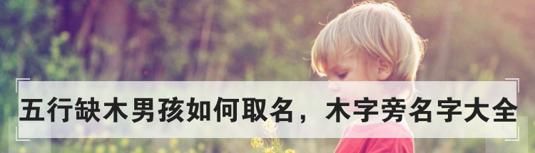 五行缺木男孩如何取名,木字旁名字大全