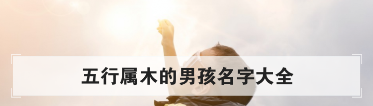 五行属木的男孩名字大全