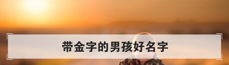 带金字的男孩好名字