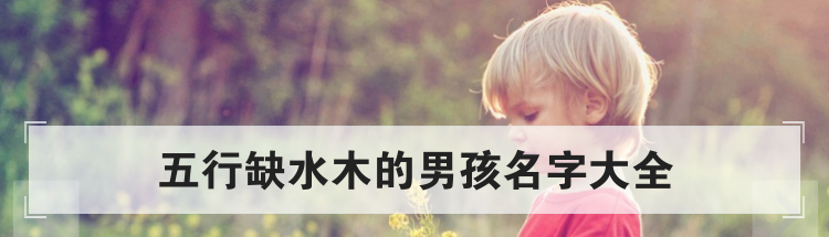 五行缺水木的男孩名字大全