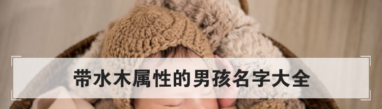 带水木属性的男孩名字大全