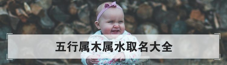 五行属木属水取名大全