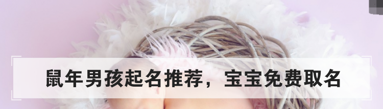 鼠年男孩起名推荐,宝宝免费取名