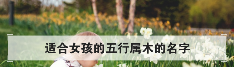 适合女孩的五行属木的名字