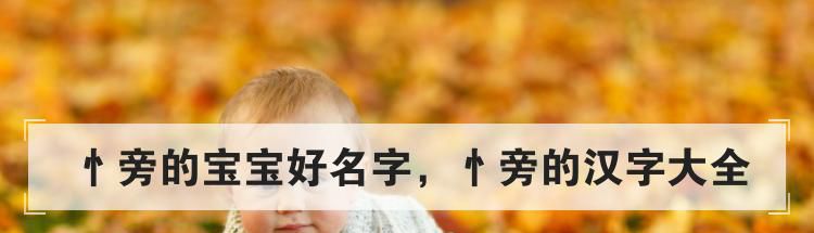 忄旁的宝宝好名字,忄旁的汉字大全