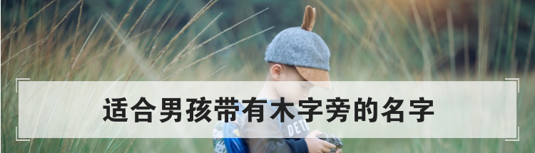 适合男孩带有木字旁的名字