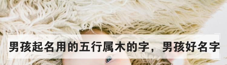 男孩起名用的五行属木的字,男孩好名字