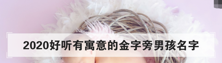 2020好听有寓意的金字旁男孩名字