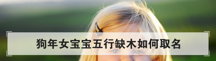最新狗年五行缺木的女孩取名