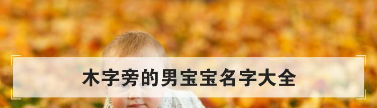 木字旁的男宝宝名字大全