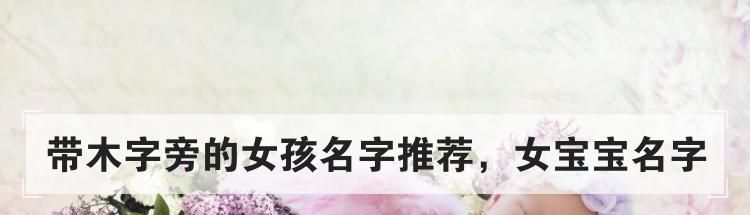 带木字旁的女孩名字推荐，女宝宝名字