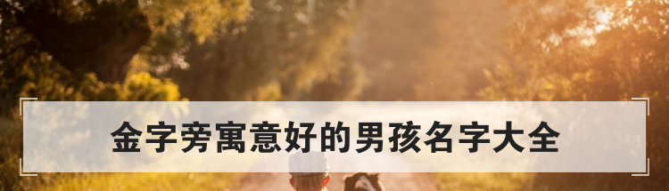 金字旁寓意好的男孩名字大全