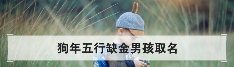 狗年五行缺金男孩取名