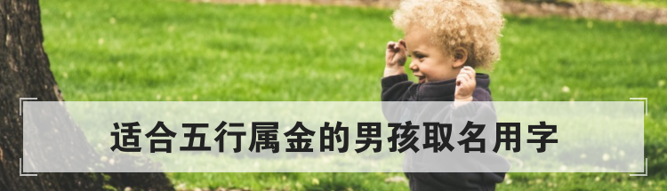 适合五行属金的男孩取名用字
