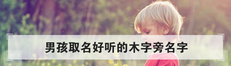 男孩取名好听的木字旁名字