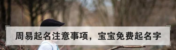 周易起名注意事项，宝宝免费起名字