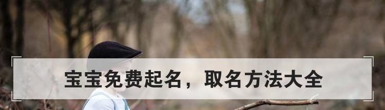 宝宝免费起名，取名方法大全