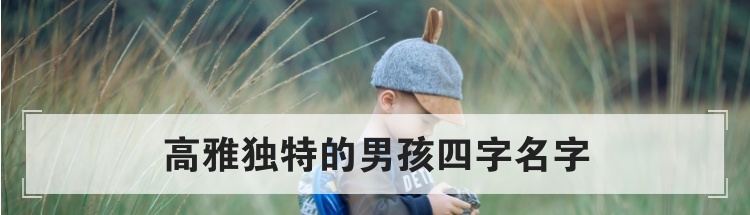 高雅独特的男孩四字名字
