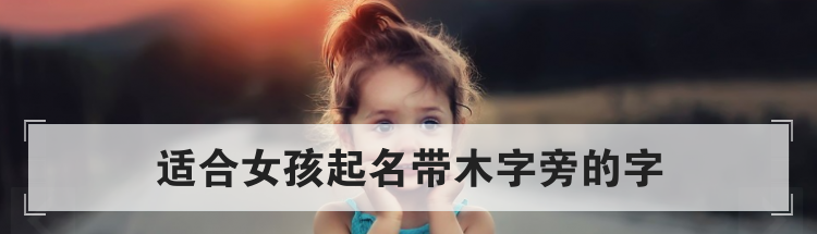 适合女孩起名带木字旁的字