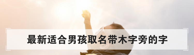 最新适合男孩取名带木字旁的字