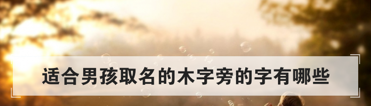 适合男孩取名的木字旁的字有哪些